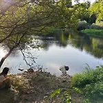 Casa O Corvo, Cerca De Vigo En Plena Naturaleza Vilacova (Salvaterra de Mino, Pontevedra)