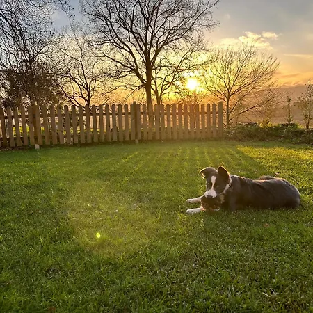 Nyaraló Casa O Corvo, Cerca De Vigo En Plena Naturaleza Vilacova (Salvaterra de Mino, Pontevedra)